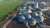thumbnail-image-20402